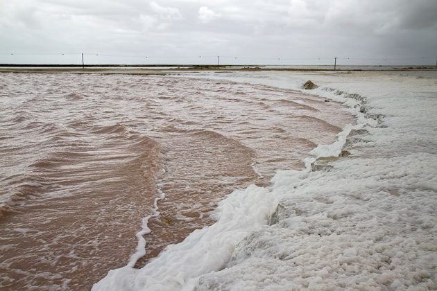 Read more about the article The Pink Water and White Salt of Las Coloradas