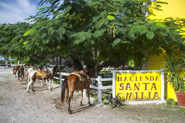 Read more about the article Rancho Buenavista – On Horseback Through Cozumel