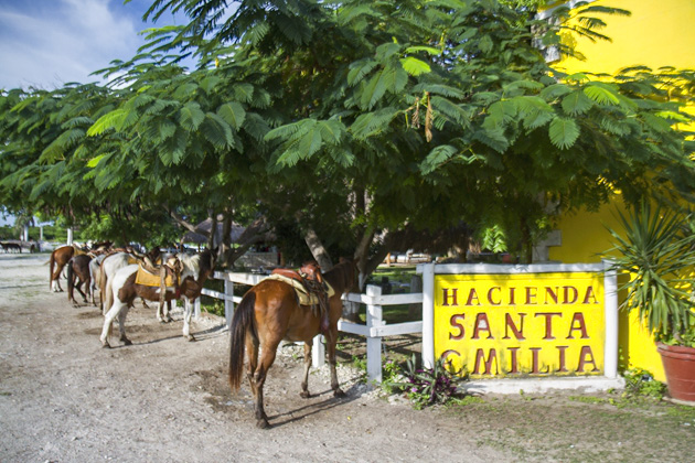 Rancho Buenavista - On Horseback Through Cozumel - The Yucatan For 91 Days